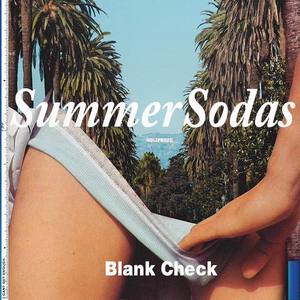 夏日汽水(Summer Sodas)