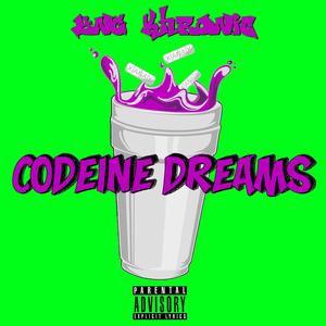 Codeine Dreams (Explicit)