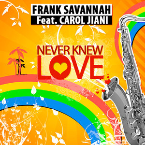Never Knew Love feat. Carol Jiani (DJ Floy Remix)