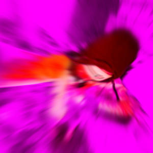 Get the Bag (feat. NoLxveTie & J-Docc) (Explicit)