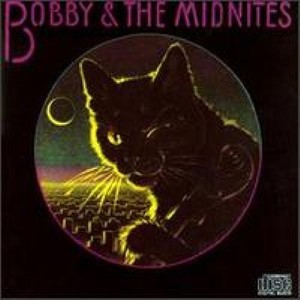 Bobby & the Midnites