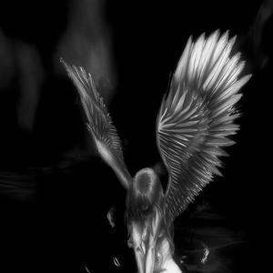 to the touch (feat. neohn) (Explicit)