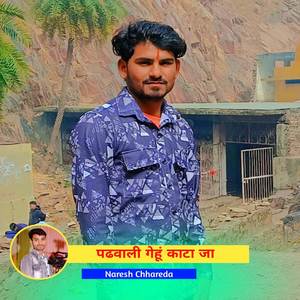 पढवाली गेहूं काटा जा