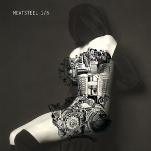 Meatsteel 1-6