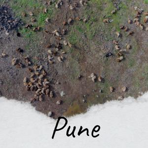 Pune