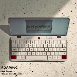 Roaming