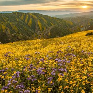 梦幻曲（钢琴曲）