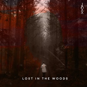 Lost in the Woods