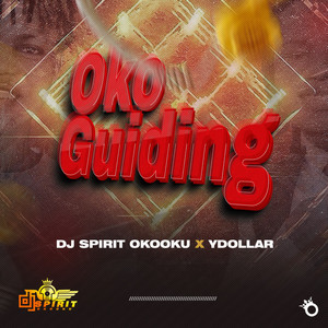 Oko Guiding