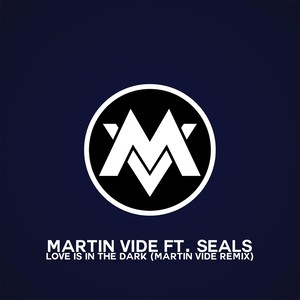 Love Is in the Dark[feat. Seals] (Martin Vide Remix)