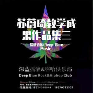 苏蔚琦教学成果作品集三