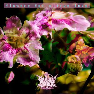 Flowers for a True Love (Explicit)