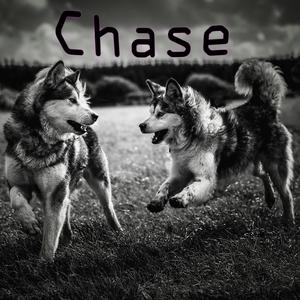 Chase