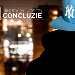 Concluzie