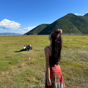 答案或许在明天