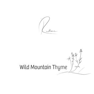 Wild Mountain Thyme