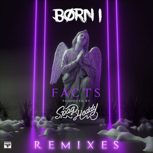 Facts Remixes