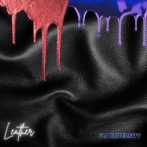 Leather (feat. 1Leak & King Tony RHE) [Explicit]