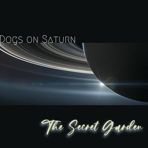 Dogs on Saturn