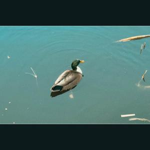 Shitty Monday (Explicit)