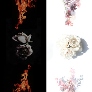 Jake Wright - The Universe Loves Me