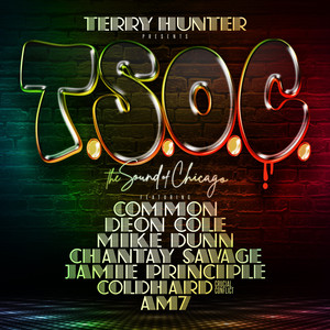 Terry Hunter - T.S.O.C. (feat. Common, Mike Dunn, Deon Cole, Chantay Savage, Coldhard, AM7, Jamie Principle) (Radio Edit)