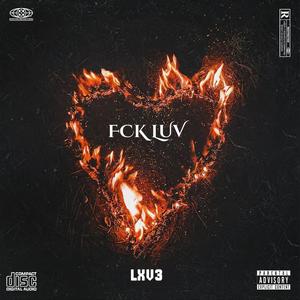 FCK LUV (Explicit)