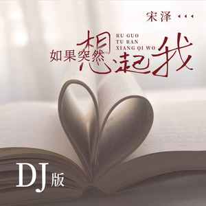 如果突然想起我 (DJ版)