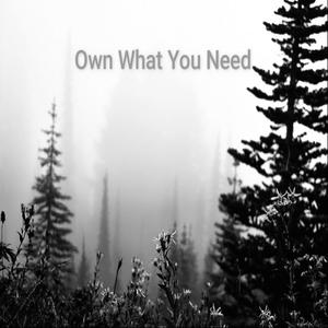 Own What You Need