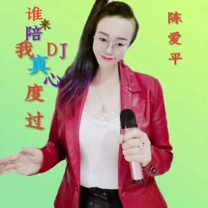 谁来陪我真心度过DJ