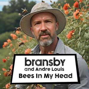 Bees In My Head (feat. Andre Louis)