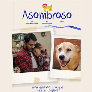 Emociones Asombrosas