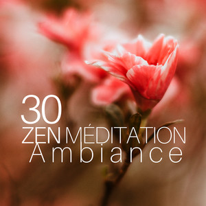 Zen Méditation Ambiance 30: musique douce new age pour la méditation, détente et yoga relaxation