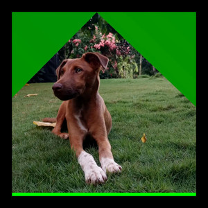 No Puede Ser (Versión acústica)