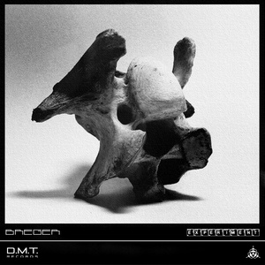 Fish Curry Riot (Original Mix)