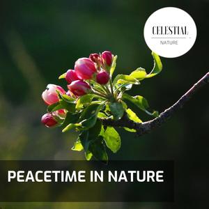 Peacetime in Nature