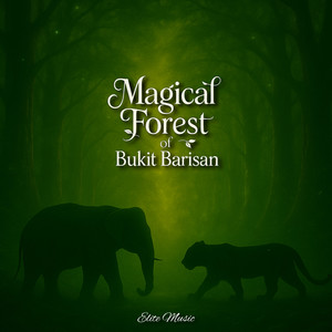 Magical Forest of Bukit Barisan