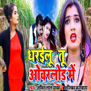 Dharayilu Tu Overlod Me