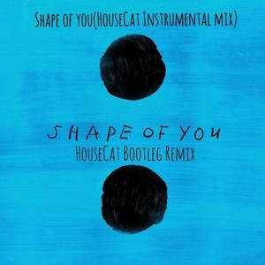 Shape of you(HouseCat Instrumental Mix)