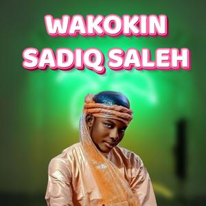 Sabon Wakokkin Sadiq Saleh (Volume. 1)