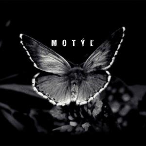 Motyl(feat. WESOME) (Explicit)
