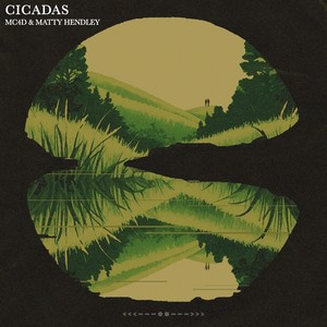 Cicadas