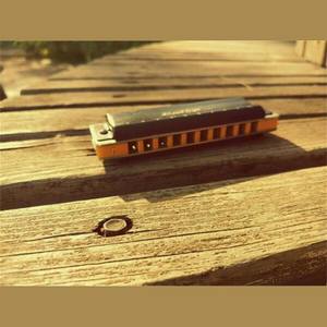 那些花儿（十孔口琴）