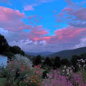 Jonice - Phantom Daylight (DJ慢速版)