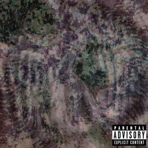 ashonthegraphic (feat. Mannyrolledthis) (Explicit)