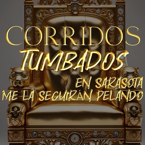 EN SARASOTA ME LA SEGUIRAN PELANDO (Explicit)