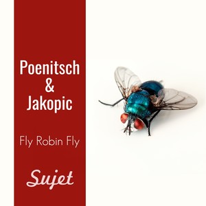 Fly Robin Fly (Hot Lipps Inc. Remix)