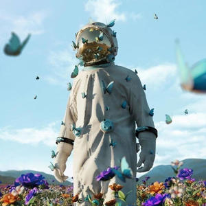 ENTRE MUROS Y ROSALES