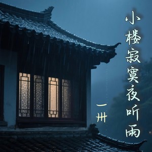 小楼寂寞夜听雨