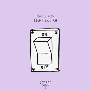 Light Switch
